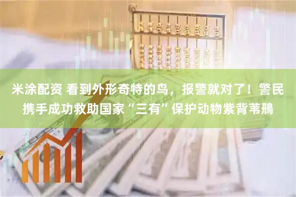 米涂配资 看到外形奇特的鸟，报警就对了！警民携手成功救助国家“三有”保护动物紫背苇鳽