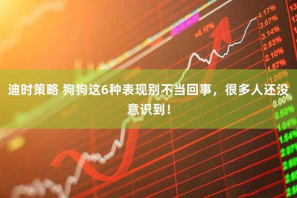 迪时策略 狗狗这6种表现别不当回事，很多人还没意识到！
