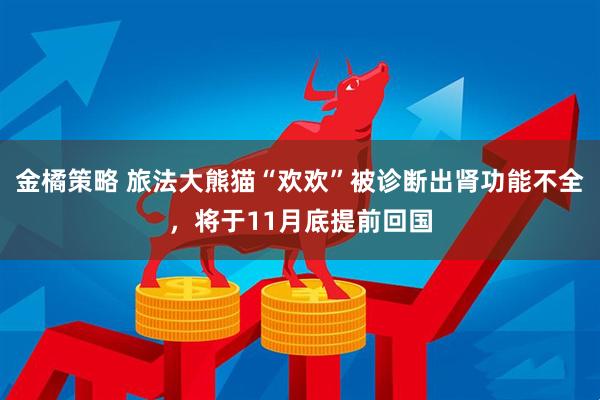 金橘策略 旅法大熊猫“欢欢”被诊断出肾功能不全，将于11月底提前回国