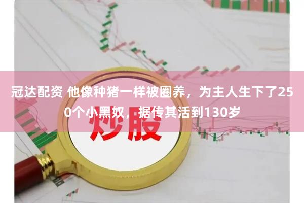 冠达配资 他像种猪一样被圈养，为主人生下了250个小黑奴，据传其活到130岁