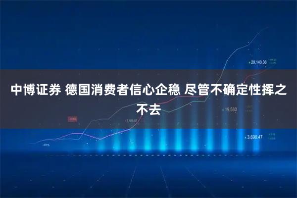 中博证券 德国消费者信心企稳 尽管不确定性挥之不去